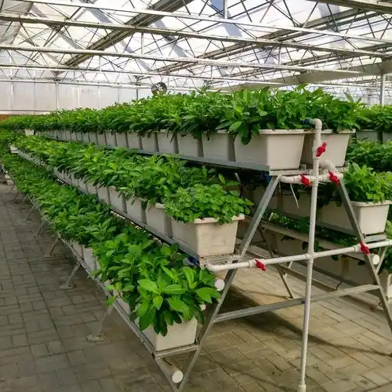自贡市植物工厂苗床 - 价格